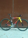 Cinelli vigorelli steel photo