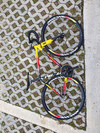 Cinelli Vigorelli Steel photo