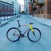 Cinelli Vigorelli Steel 53 photo