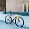 Cinelli Vigorelli Steel 53 photo