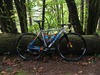 Cinelli Zydeco photo