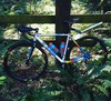 Cinelli Zydeco photo