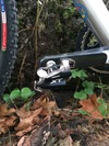 Cinelli Zydeco photo