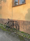 Cinelli/Mash Histogram 2015 photo