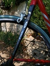 Ciocc reef carbon photo Ciocc reef carbon photo