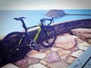 2013 Cipollini RB1000 World Champion photo