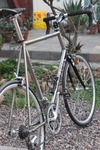 Clark Kent Titanium TT photo