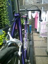 classic raleigh purple photo