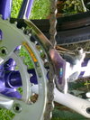 classic raleigh purple photo