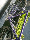 classic raleigh purple photo