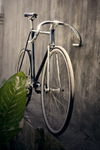 Ordinary Bike - Amoreciego photo