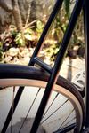 Ordinary Bike - Amoreciego photo