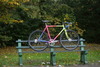 Clemenso fixed gear conversion photo