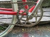 Coaster Brake Road Bike photo