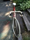 Coaster Brake Road Bike photo