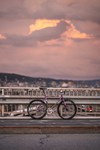 Cohesion Steel tracklocross photo