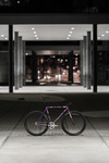 Cohesion Steel tracklocross photo