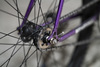 Cohesion Steel tracklocross photo
