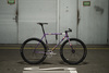 Cohesion Steel tracklocross photo