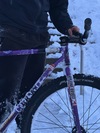 Cohesion Steel tracklocross photo