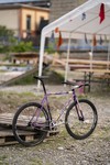 Cohesion Steel tracklocross photo