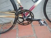 COLIAN gold road bike photo