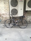 Colnago? photo