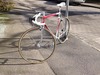 Colnago photo