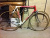 Colnago photo