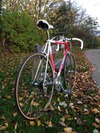 Colnago photo