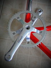 colnago photo