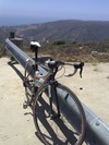 Colnago Ace photo