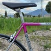 Colnago  Art Decor photo