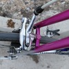Colnago  Art Decor photo