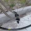 Colnago  Art Decor photo