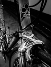 Colnago Art Decor photo