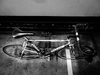 Colnago Art Decor photo