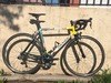 Colnago Belgium Dream Di2 photo