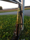 Colnago C40 photo