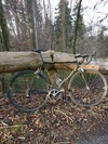 Colnago C40 photo