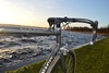 Colnago C40 Gold Limited Edition photo