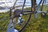 Colnago C40 Gold Limited Edition photo