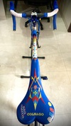 Colnago C40 Mapei Team photo