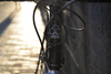 Colnago C40 photo