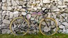 Colnago C40 Team Lampre edition photo