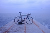 colnago c50 photo