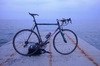 colnago c50 photo