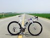 Colnago C59 photo