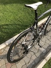 Colnago C59 photo