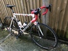 Colnago C59 Italia Team Edition , 1/135 photo